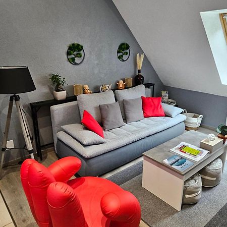 Gite Vallee De Munster 3 Etoiles Chez Flavie & Ludo Muhlbach-sur-Munster Dış mekan fotoğraf